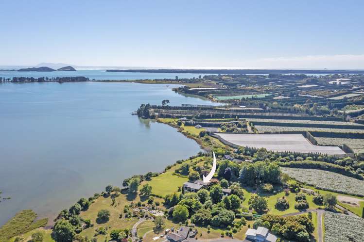 115c Tuapiro Road Hauraki Surrounds_27