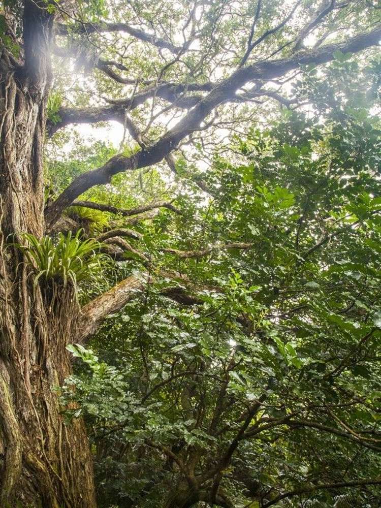 48 Glen Brook Road Omiha_1