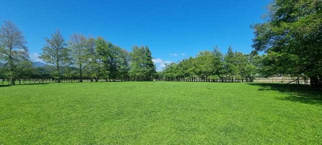 Lot 2 & 3/378 Tararua Road Levin_3