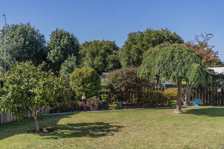 33 Springbok Avenue Whitianga_18