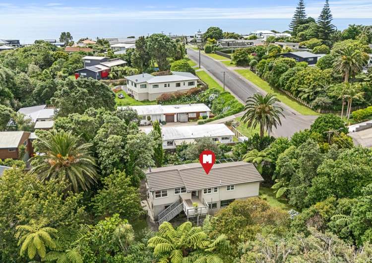 52 Pitcairn Street Oakura_15