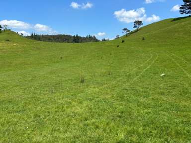 928 Kuaotunu-Wharekaho Road_3