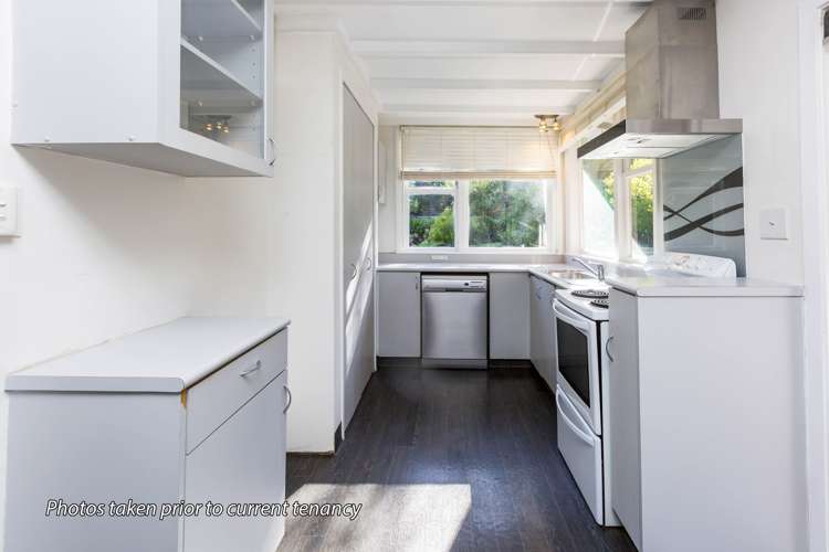 16 Akatarawa Road Brown Owl_8