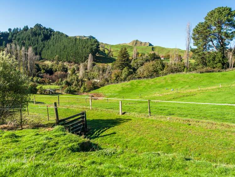 5785 Turakina Valley Road Hunterville_8