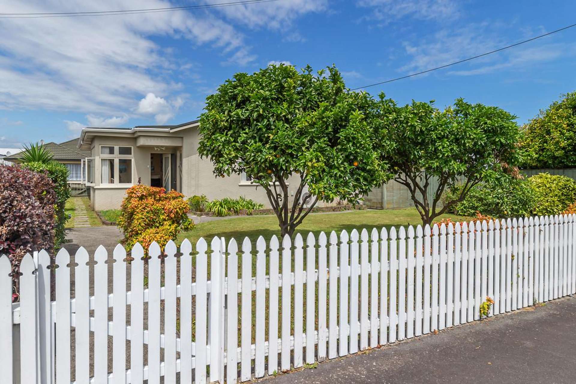 9 York Street Levin_0