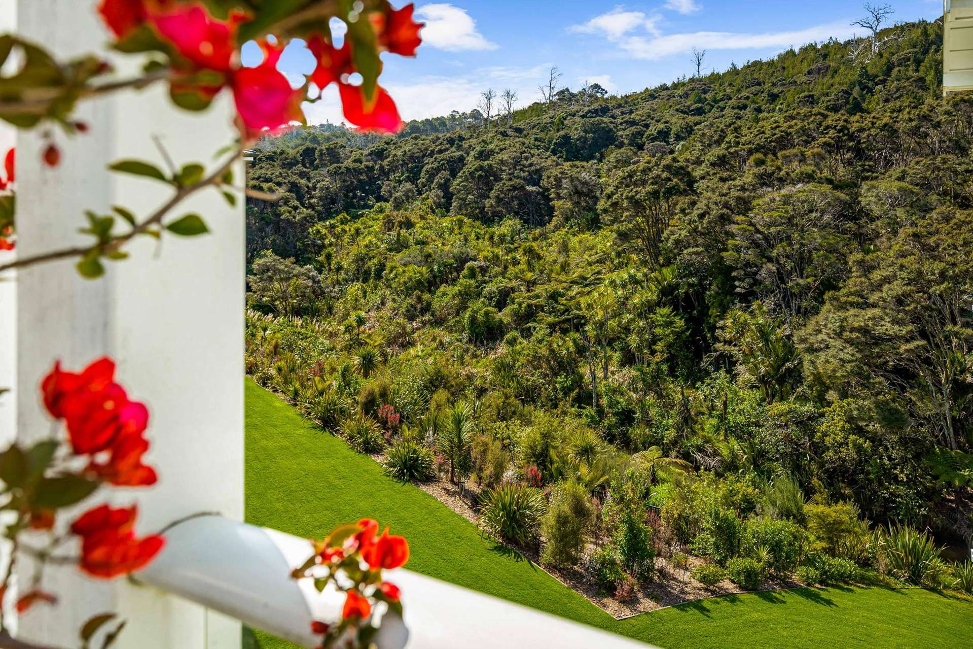 118 Eaves Bush Parade Orewa_0