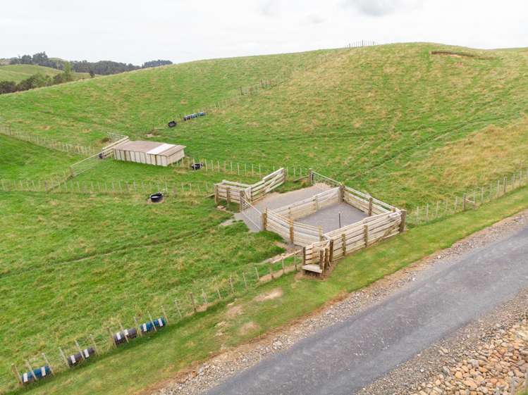 169 Torehape Road West Kaihere_34