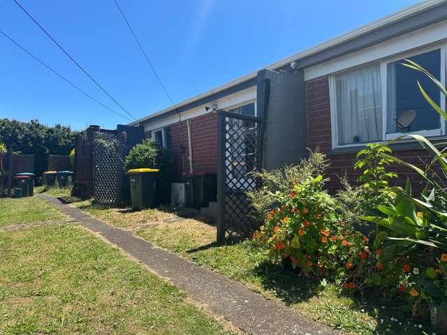 2/8A Heretaunga Avenue 10051_1