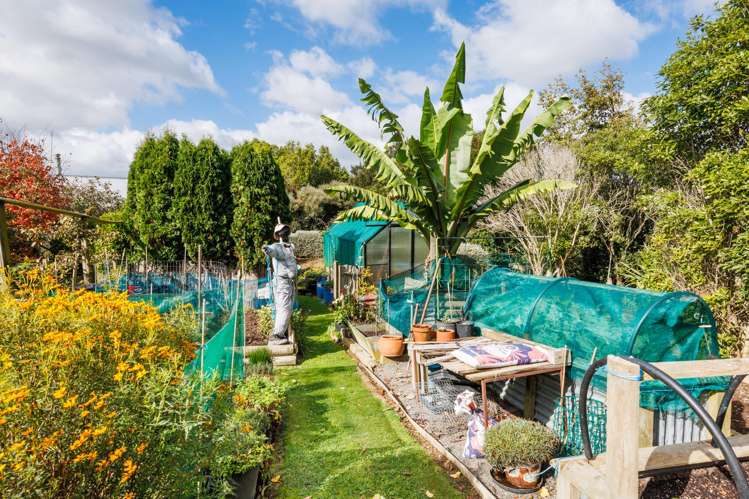 1233 Makino Road Halcombe_22