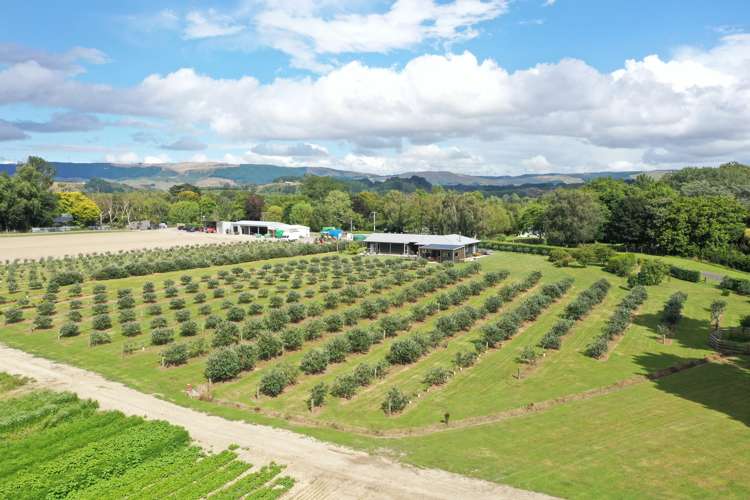 72 Pinfold Road Aokautere_20