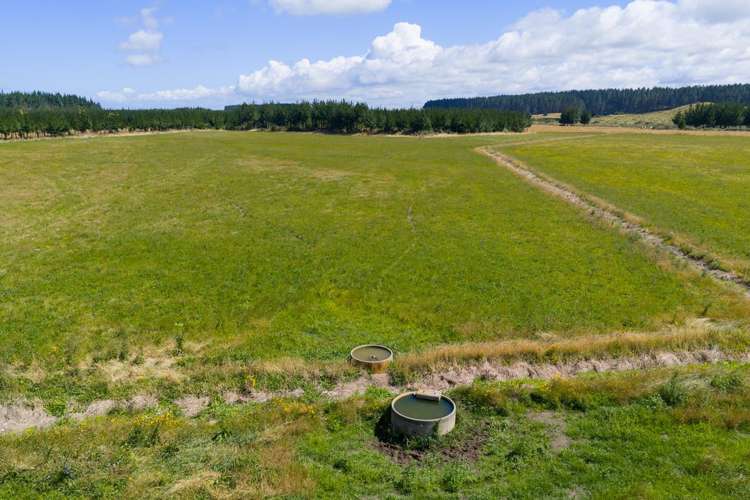 590 Brandon Hall Road Bulls_14