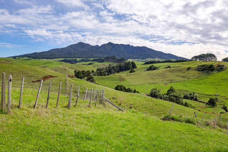 62 Cornes Road Raglan_19