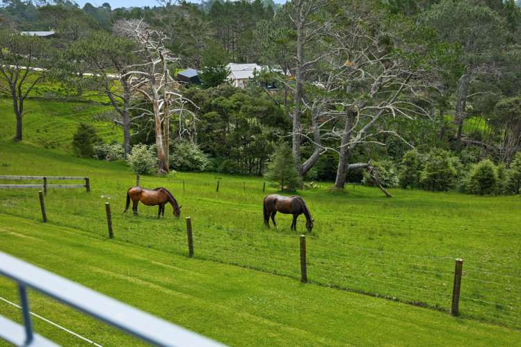 23 Crows Road Swanson_4