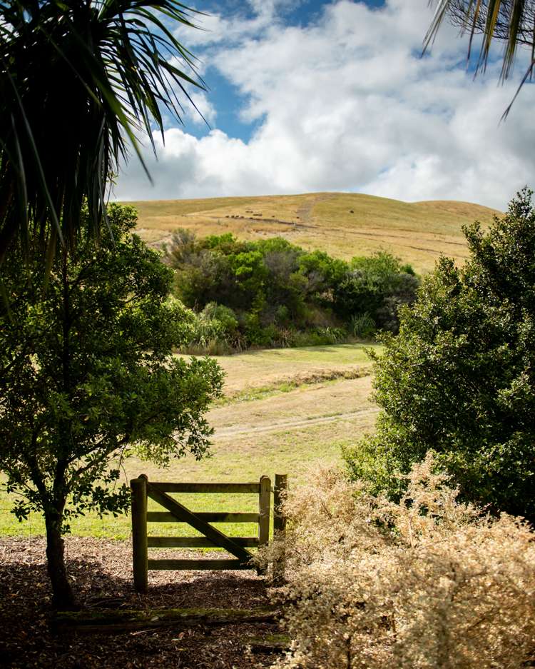 239 Redwood Street Witherlea_43