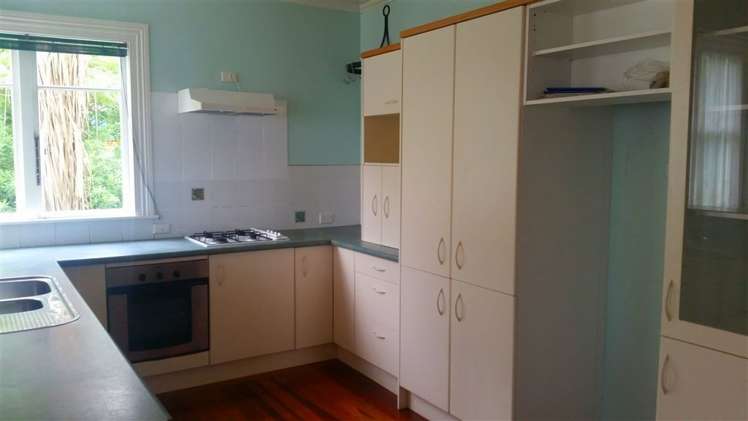 109 Franklyn Street Thames_6