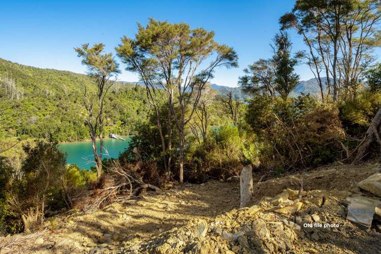 Lot 33 Fence Bay Onahau Bay_13