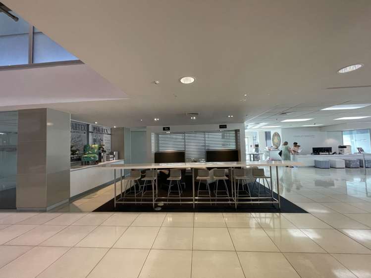 Ground Floor/525 Rosebank Road Avondale_8