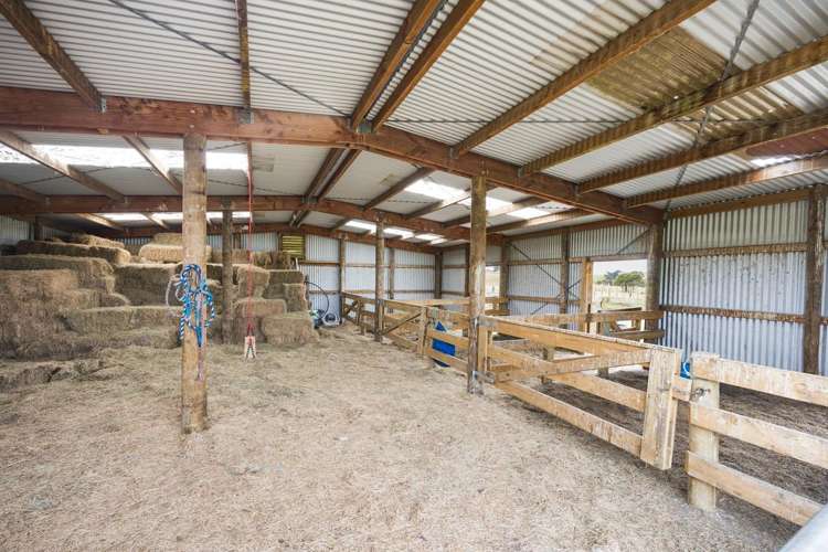 780 Halcombe Road Halcombe_7