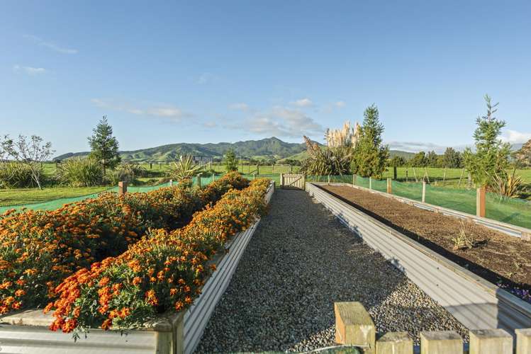 37 Upper Pitone Road Pitone_21