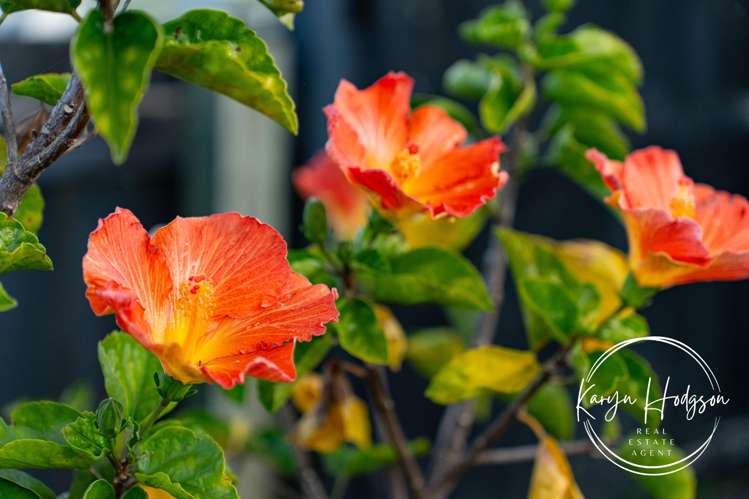 103 Hurndall Street Maungaturoto_27