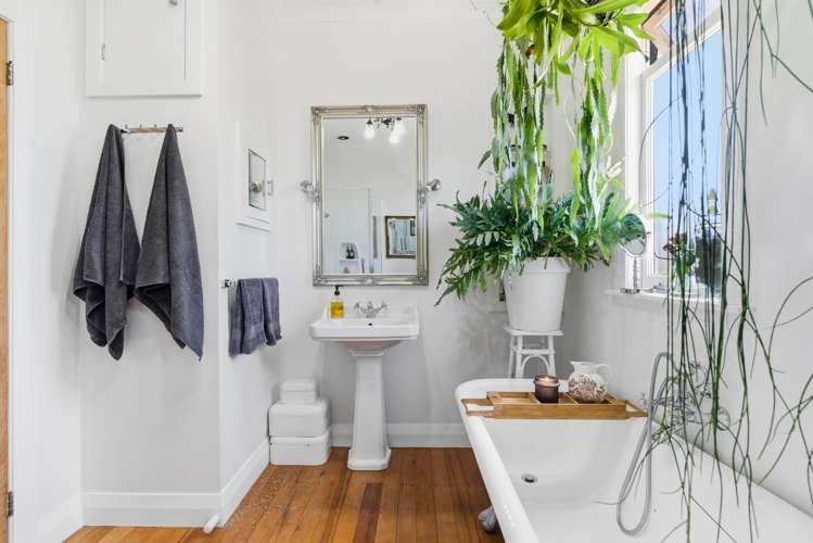 15A Chaytor Street Te Puke_13