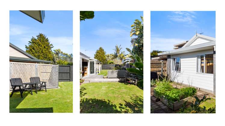 10b Bayfair Drive Mount Maunganui_5