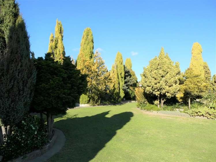 206 Willowbank Avenue Meeanee_5