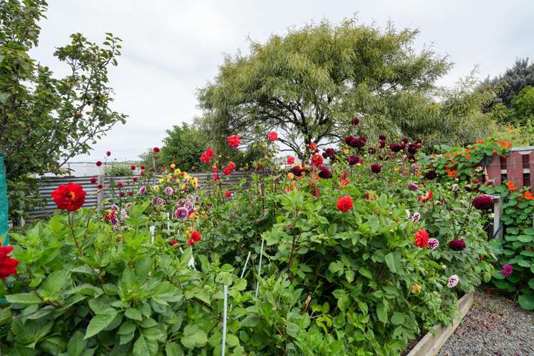 32 James Street Riverton_12