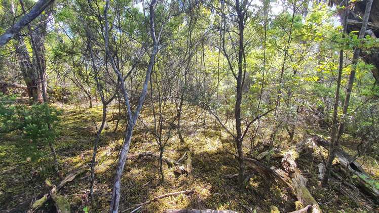 Lot 2/DP78717 North Cove Kawau Island_12