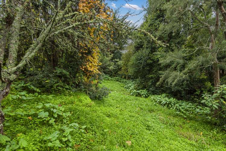 21 Clyde Street Dargaville_20