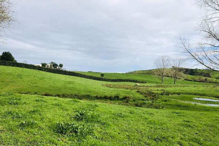 Lot 1 Waerenga Road Te Kauwhata_0