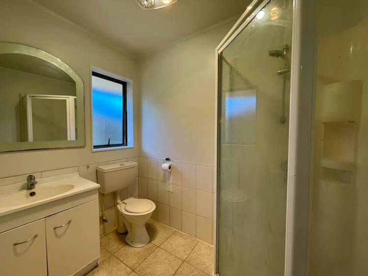 49 Michael Jones Drive Flat Bush_8