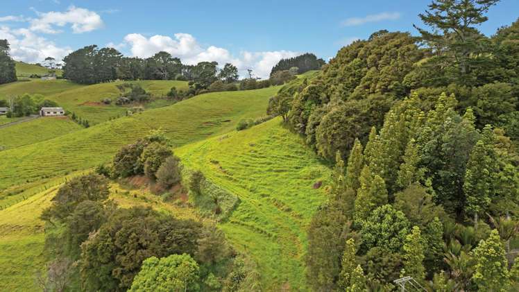 37 Kapowai Road Coroglen_44