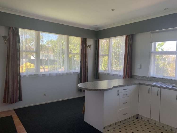 14 Ruapehu Street 1200_3