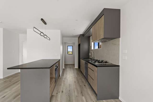 49D Webster Avenue Mount Roskill_2