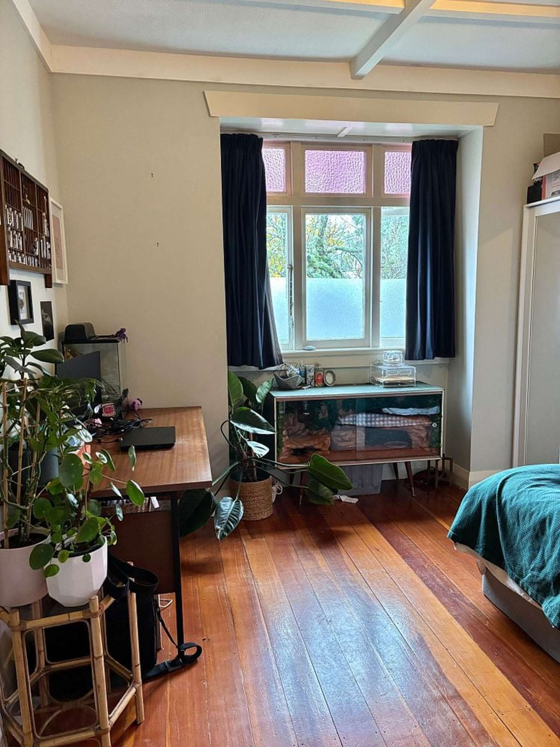 Address withheld Mount Eden_0