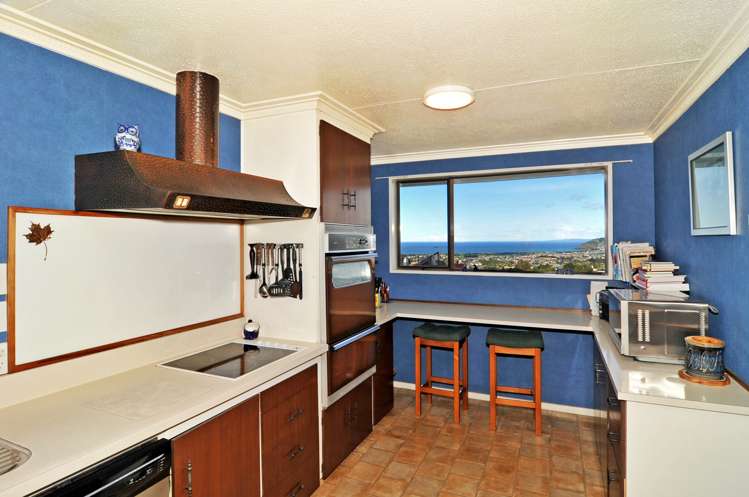 242 Larnach Road Waverley_6