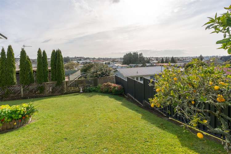 65 Poaka Avenue Dinsdale_16