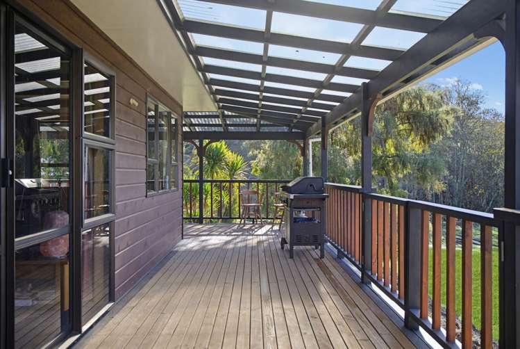 314 Thorpe-Orinoco Road Ngatimoti_13