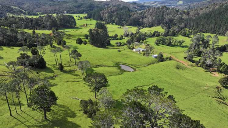140 Kenana Road Mangonui Surrounds_10