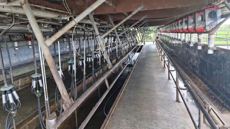 619 Rakauwahia Road Kaikohe_7