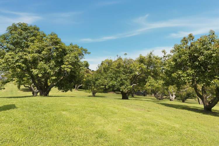 248 Pyes Pa Road Pyes Pa_1