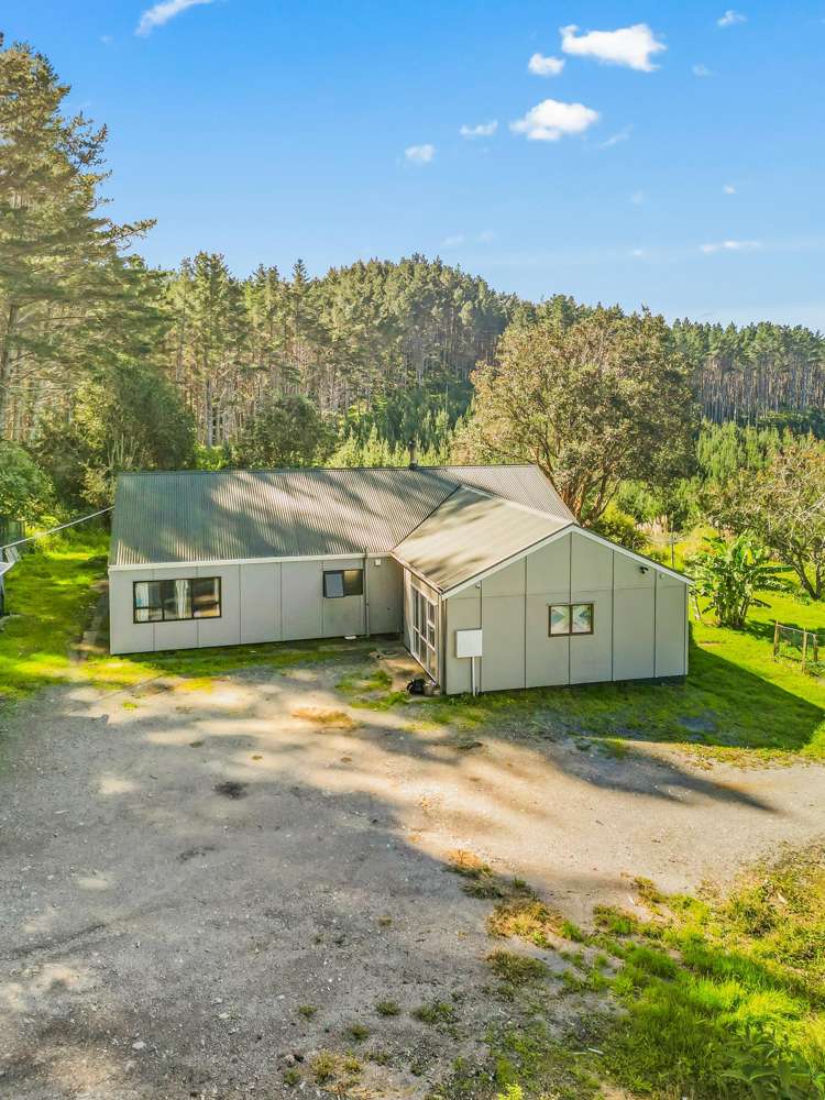 110 Whangape Track Road Broadwood_32