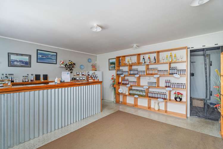 1242 Whangapoua Road SH25 Whangapoua_27