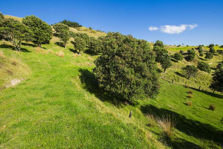 87 Lochiel Street Mahia_15