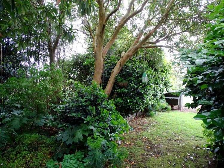 55 Thames Road Paeroa_7