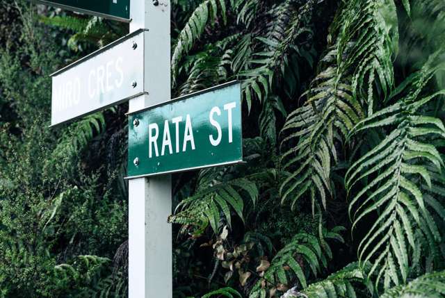 9 Rata Street Halfmoon Bay_1