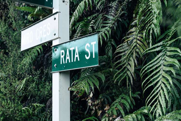 9 Rata Street_1