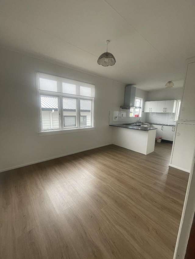 22 Lincoln park Ave Massey_1