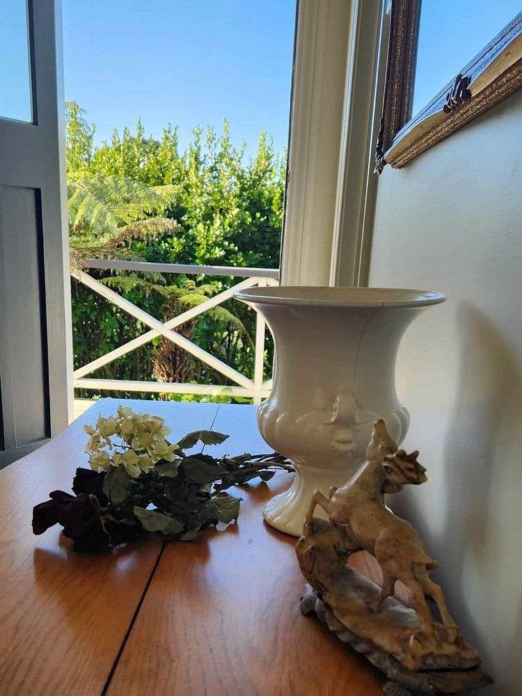 57 Kauaeranga Valley Road Thames_5